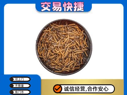 银海区高价回收散虫草